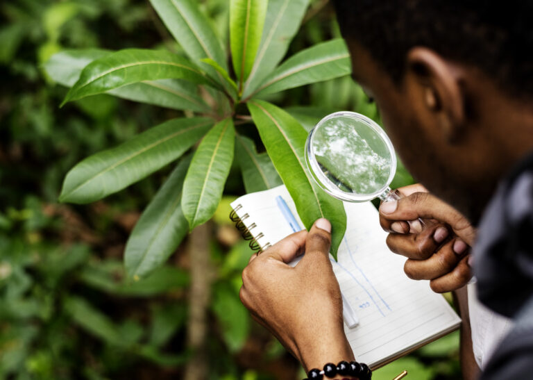 BSc. Forestry and Wildlife Technology (FWT)