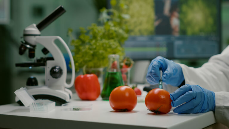 BSc. Food Science and Technology (FST)